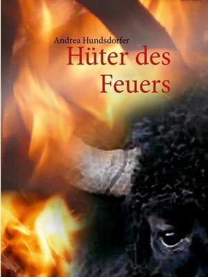 cover image of Hüter des Feuers